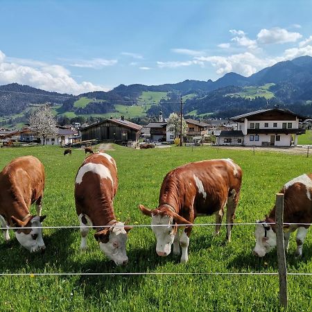Ferienhaus Weberhof Reith im Alpbachtal Kültér fotó