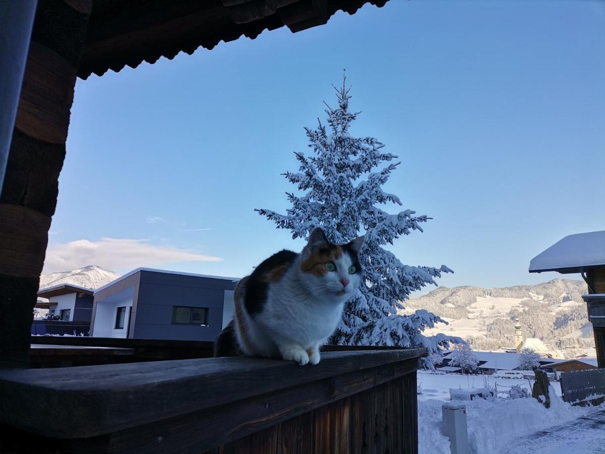 Ferienhaus Weberhof Reith im Alpbachtal Kültér fotó